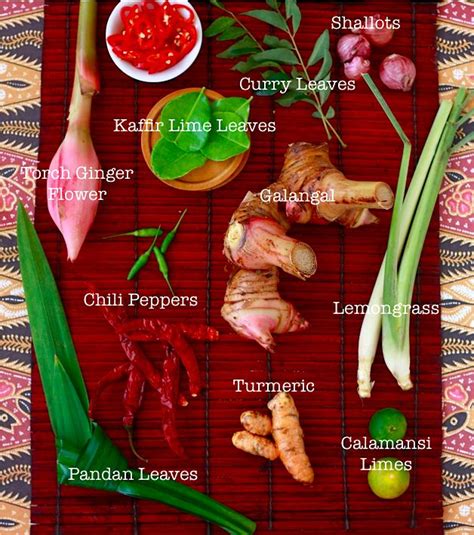 spicevids asian|Spicevids.